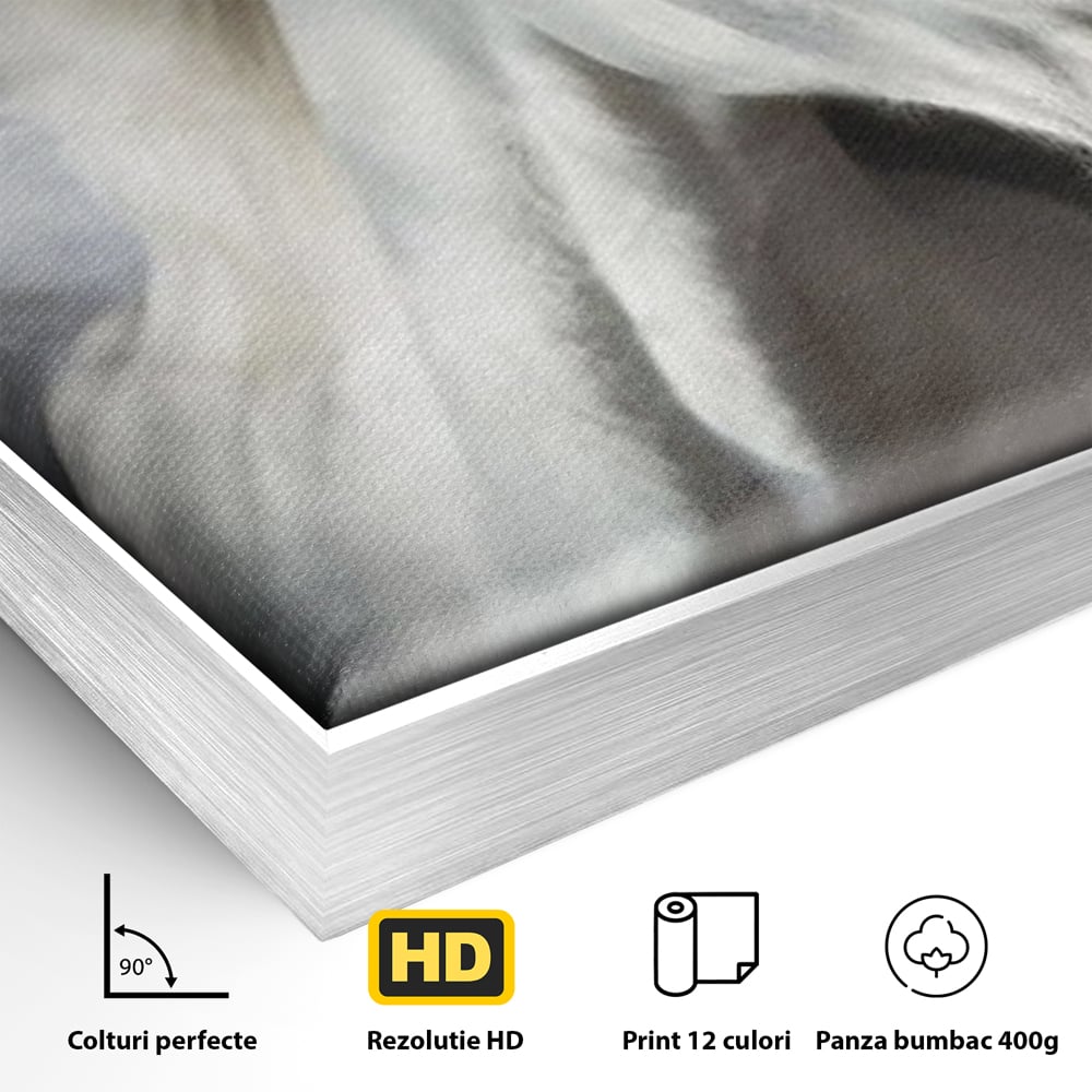 Detaliu al suprafetei: tablou canvas cu un cal alb si nori, in rama de aluminiu argintiu